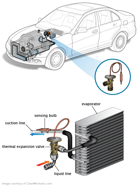 See P1981 repair manual